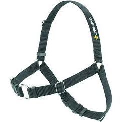 Sensation 2024 harness petco