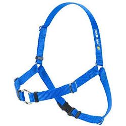 Sensation harness outlet petco