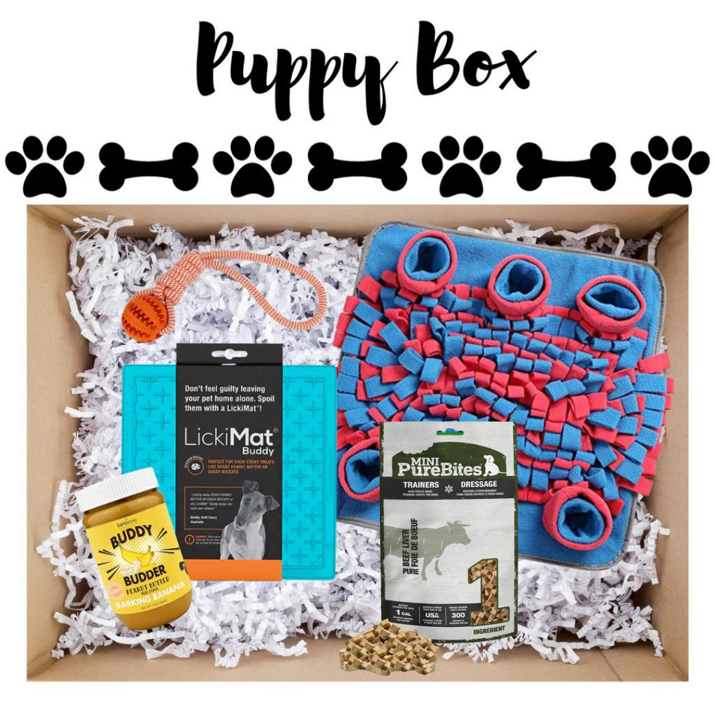 Puppy Enrichment Box