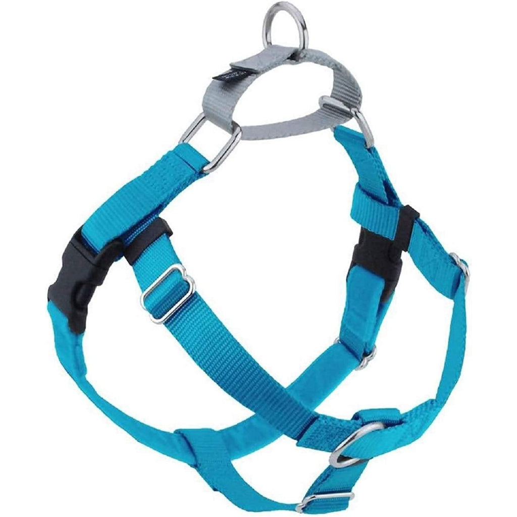 Freedom No-Pull Dog Harness Turquoise