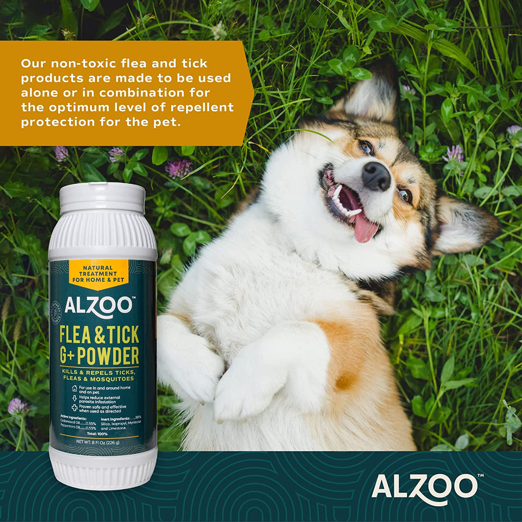 Non toxic flea treatment for outlet dogs